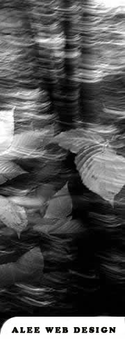  Richmond Web Design - Learn more about graphic/website design and hosting services by Contacting ALEE Web Designs