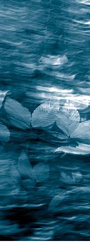 Richmond Web Design by ALEE Web Designs