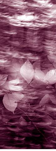 Richmond website hosting and design by ALEE Web Designs